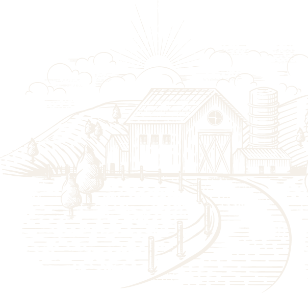 小瘾·绿野仙踪,川步村民宿,川步长寿村