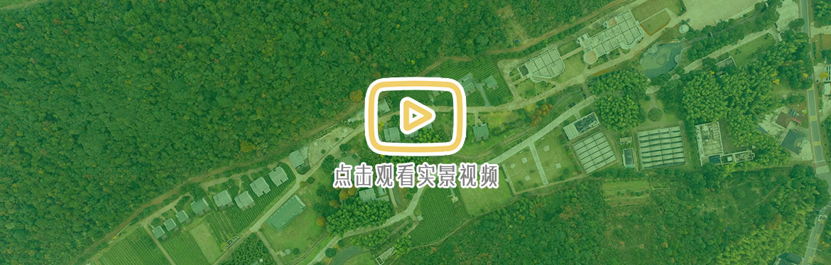 小瘾·绿野仙踪,川步村民宿,川步长寿村