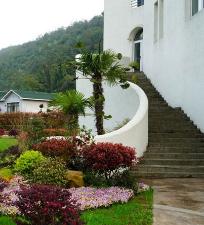 小瘾·绿野仙踪,川步村民宿,川步长寿村