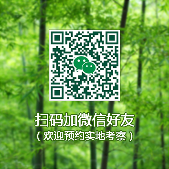 小瘾·绿野仙踪,川步村民宿,川步长寿村