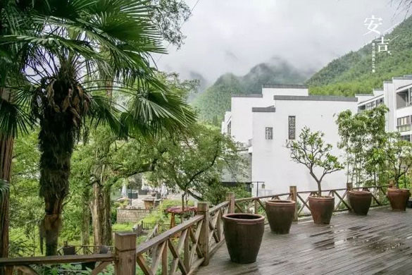 安吉民宿